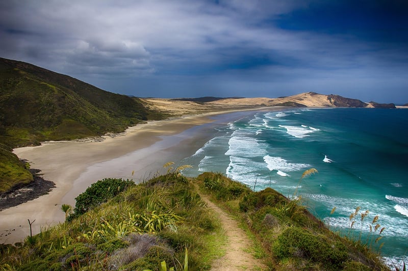New Zealand Adventure